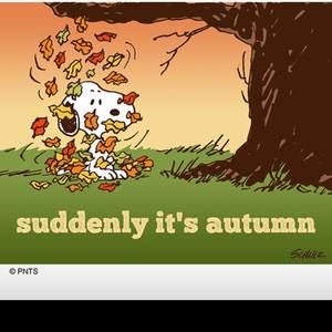 Meet your Posher, Marites